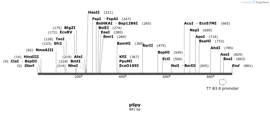 35035_map