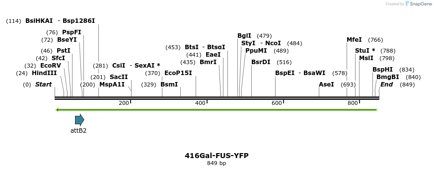 35037_map