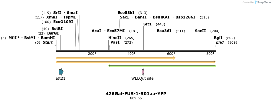35039_map