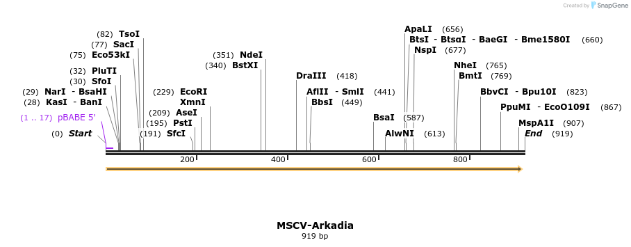 350397_map