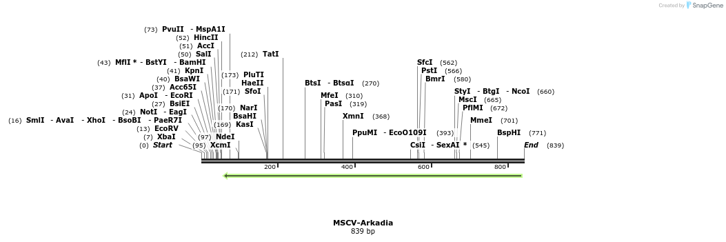350398_map