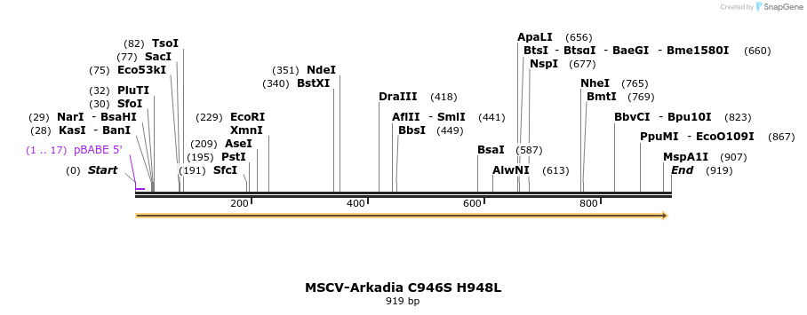 350400_map