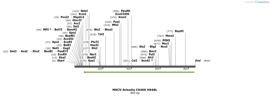 350401_map