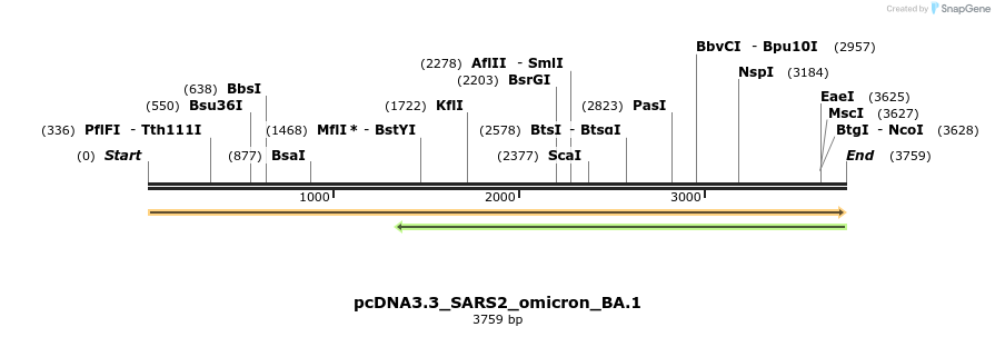 350402_map