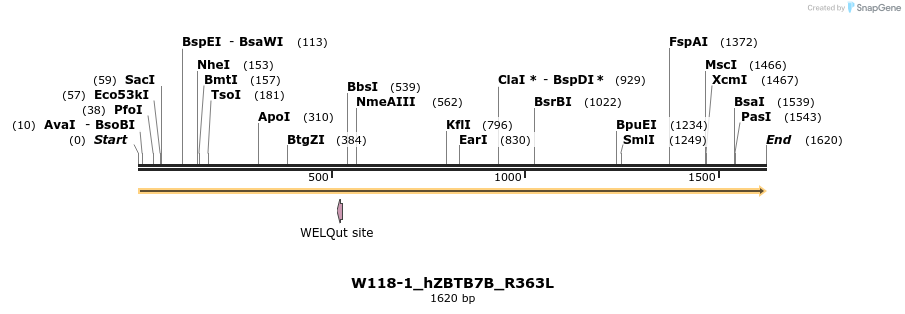 350441_map