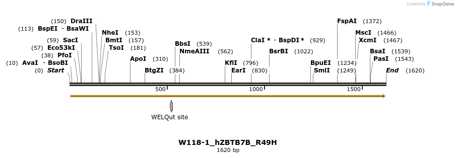 350443_map