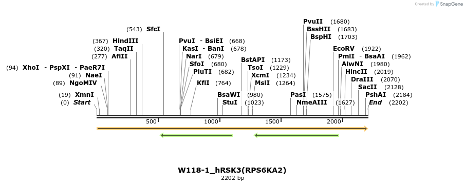350447_map