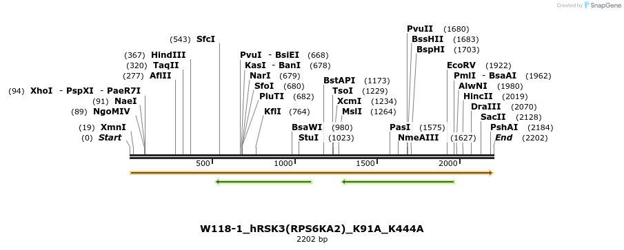 350449_map