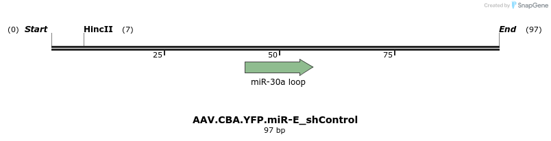 350451_map