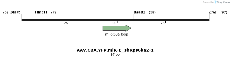 350455_map