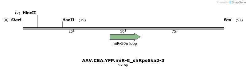 350459_map