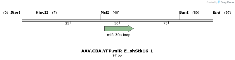350461_map
