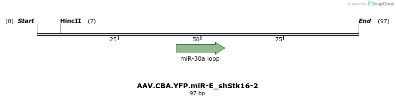 350463_map