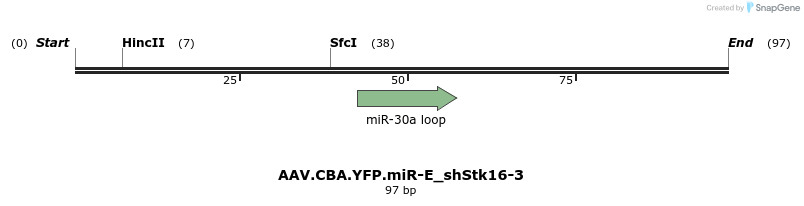 350465_map