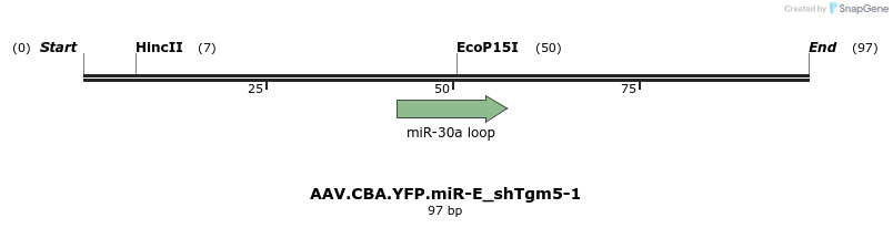 350467_map