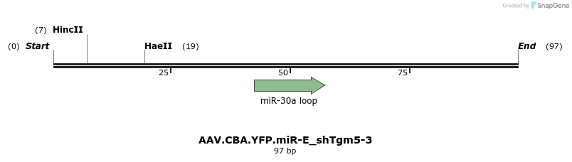 350471_map