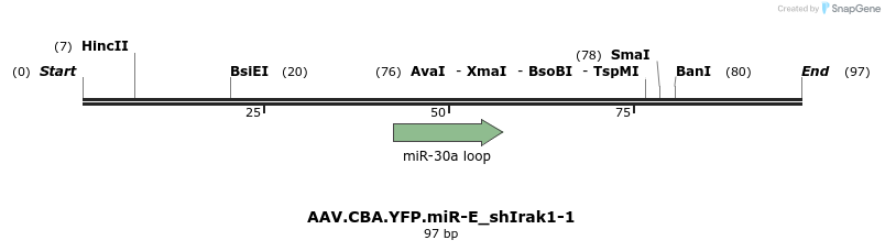 350473_map