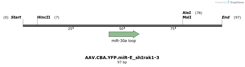 350477_map