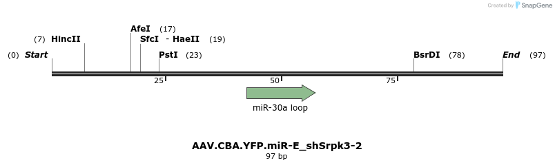 350481_map