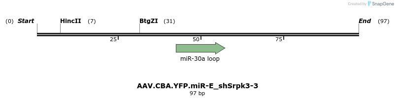 350483_map