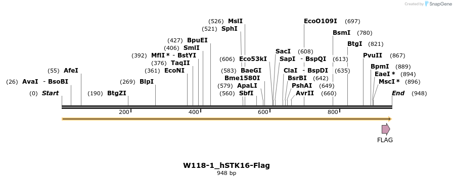 350485_map