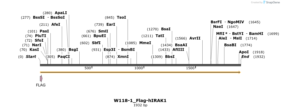 350489_map