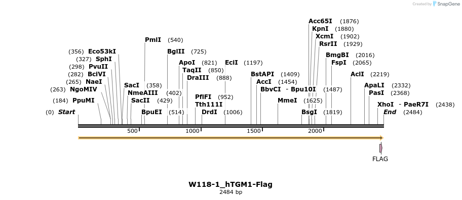 350491_map