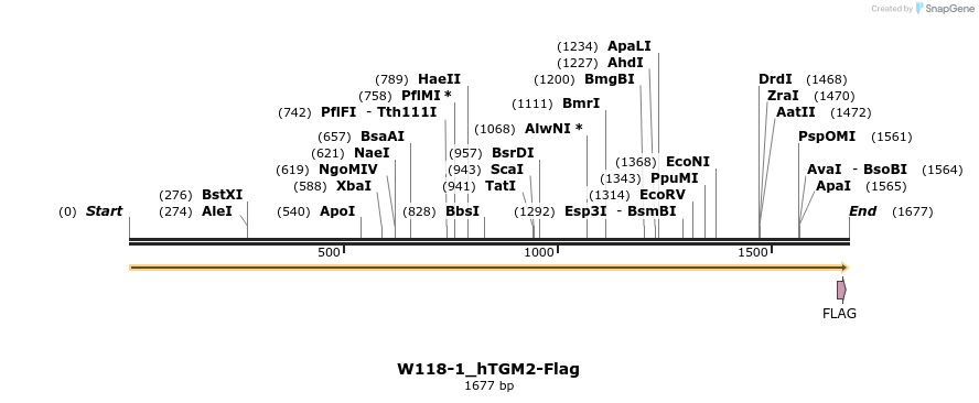 350493_map