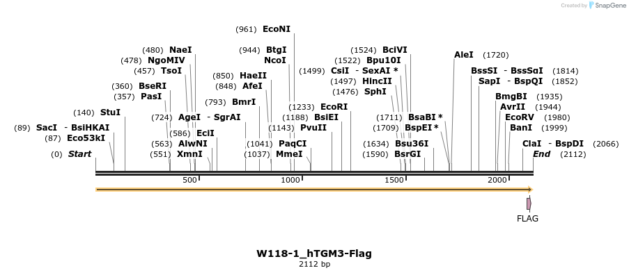 350495_map
