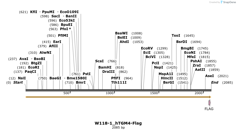350497_map