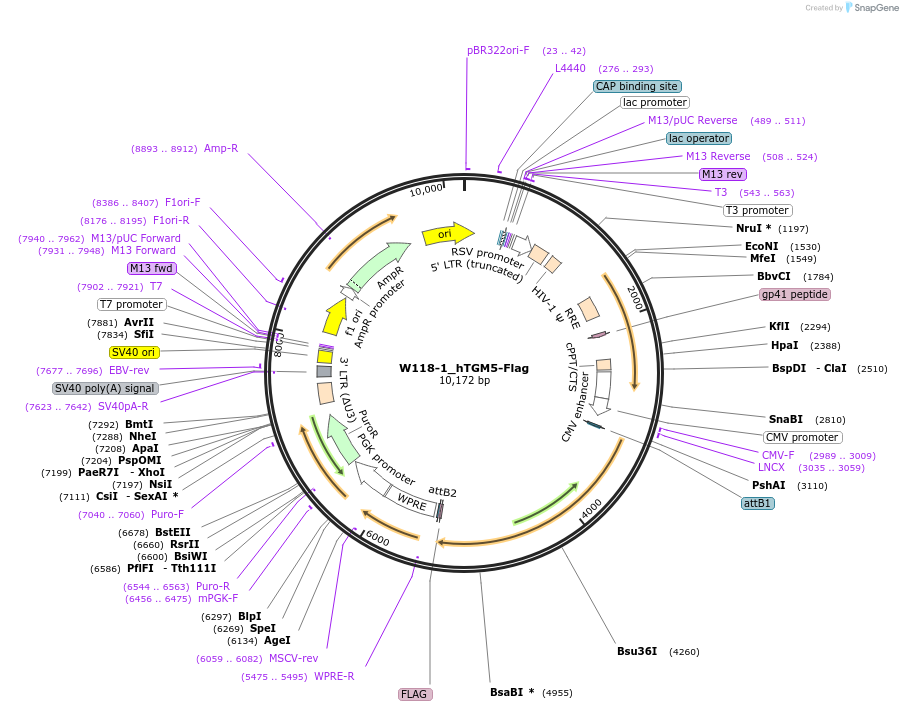 350498_map