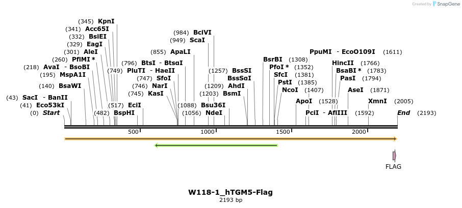 350499_map