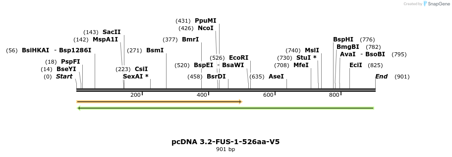 35050_map