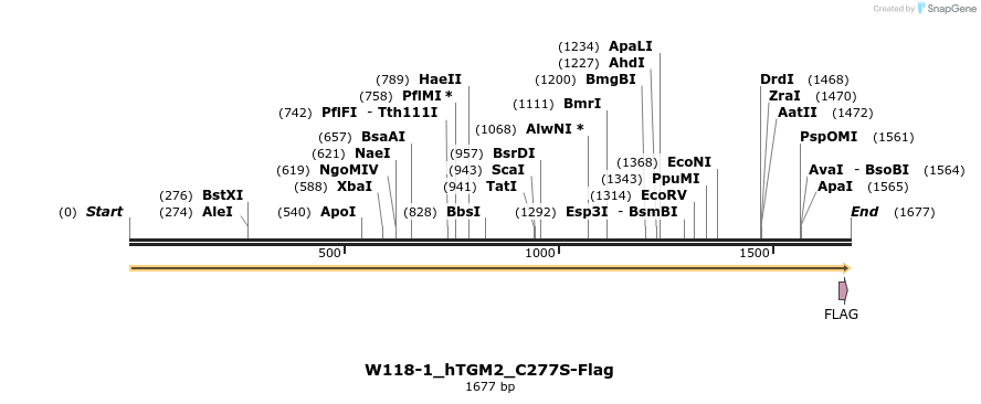 350503_map