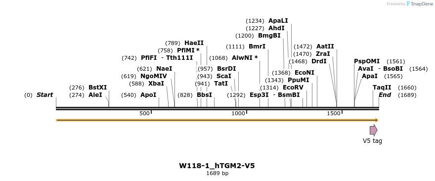 350505_map