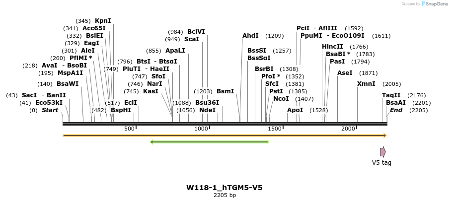 350507_map