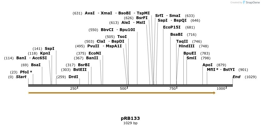 350508_map
