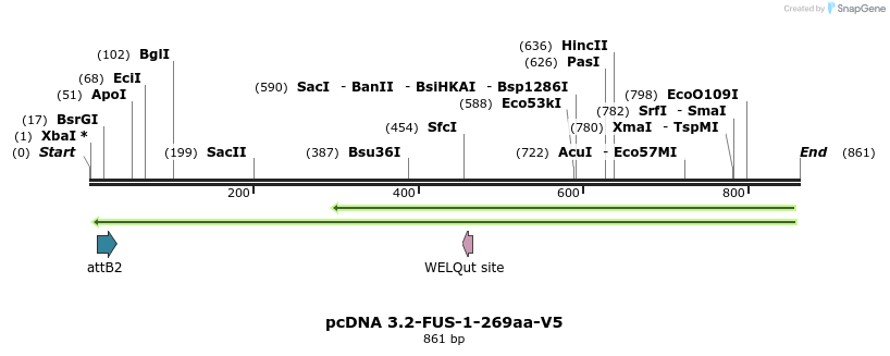 35052_map
