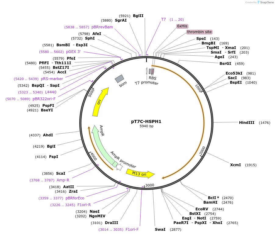 350520_map
