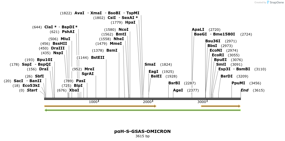 350526_map