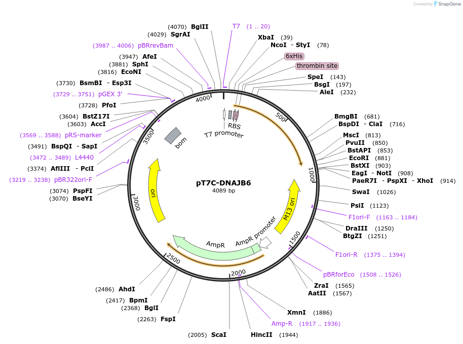 350530_map