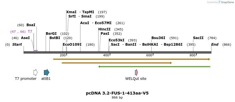 35055_map