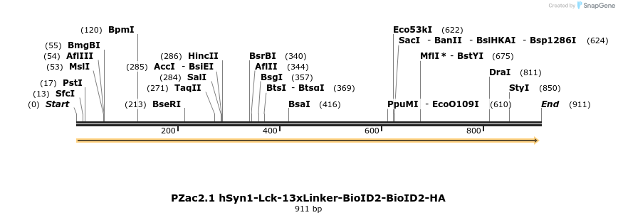 350567_map