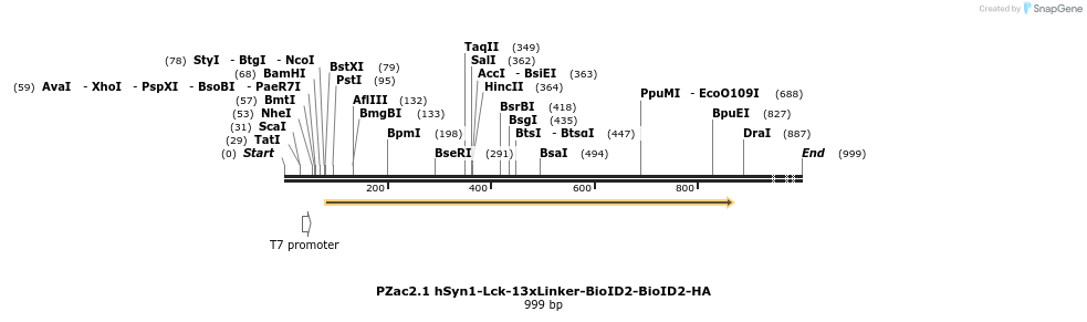 350568_map