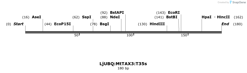 350570_map