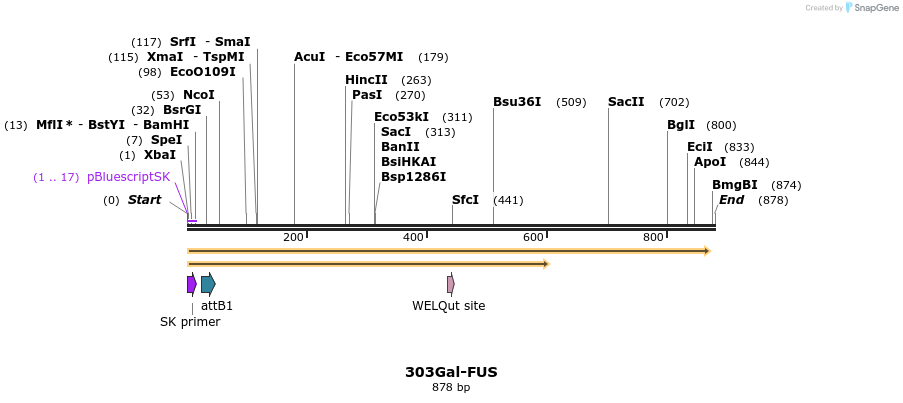 35059_map