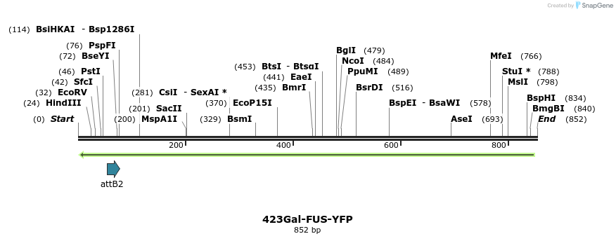 35060_map