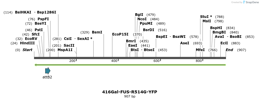35061_map
