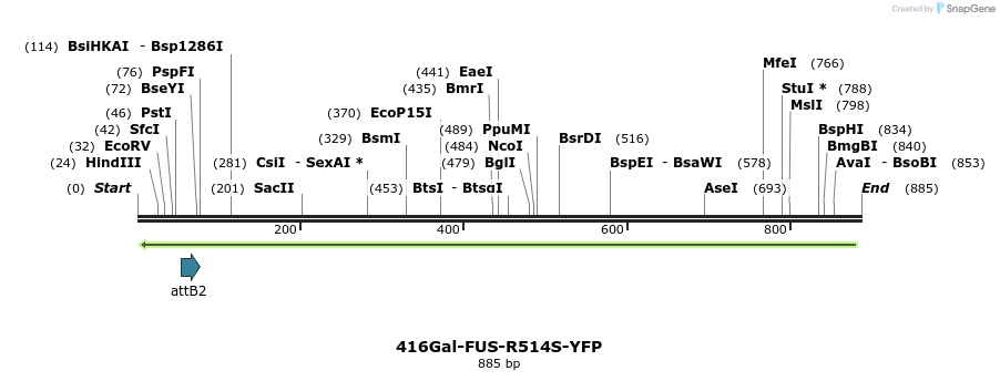 35062_map