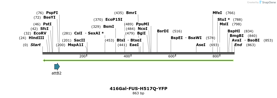 35064_map